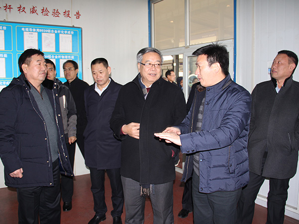 2018年1月11日，，，，，，，，邢台市人大常委会副主任周世伟带领省、市人大代表集中视察第五组到ag真人国际线缆集团进行视察